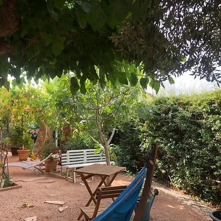 Joli Studio Indépendant, Avec Extérieur Verdoyant à